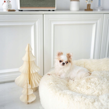 М'яке лежак-ліжечко для собак Legowiska, бежевий, 50 x 50 см