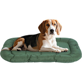 колір: зелений