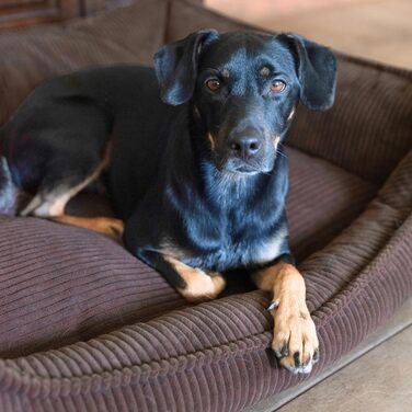 М'яке собаче ліжко 4L Textil Hugo Premium-LINE: ортопедичне, з memory foam, 60x40 см, для маленьких собак