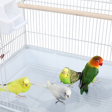 Клітка Yaheetech 46 x 35,5 x 99 см, біла
