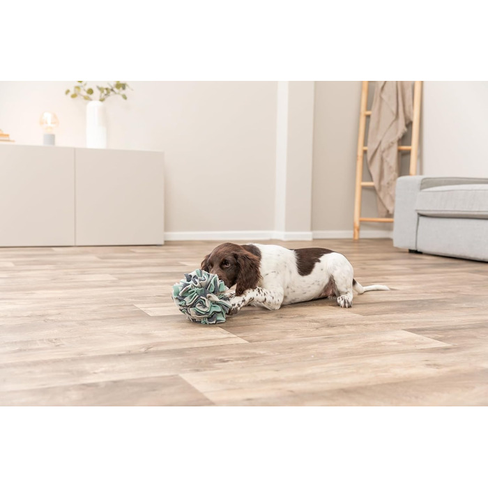 TRIXIE Килимок-головоломка для собак 'Schnüffelteppich' – інтелектуальна іграшка для собак, 70x47 см, 32005