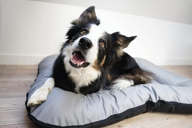 Ліжко для собак середніх порід 4L Textil KLEO, 90x70 см, бежеве, з блискавкою. Також: килимок, матрац, подушка для собак. Розміри: 80x60x10 см (сірий, з блискавкою)