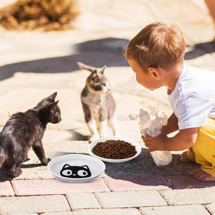 Набір мисок для котів на 6 місць - 6 мисок з кераміки та підставки, широкі миски для котів, що зменшують подразнення вусів, плоскі миски для кошенят та дрібних тварин