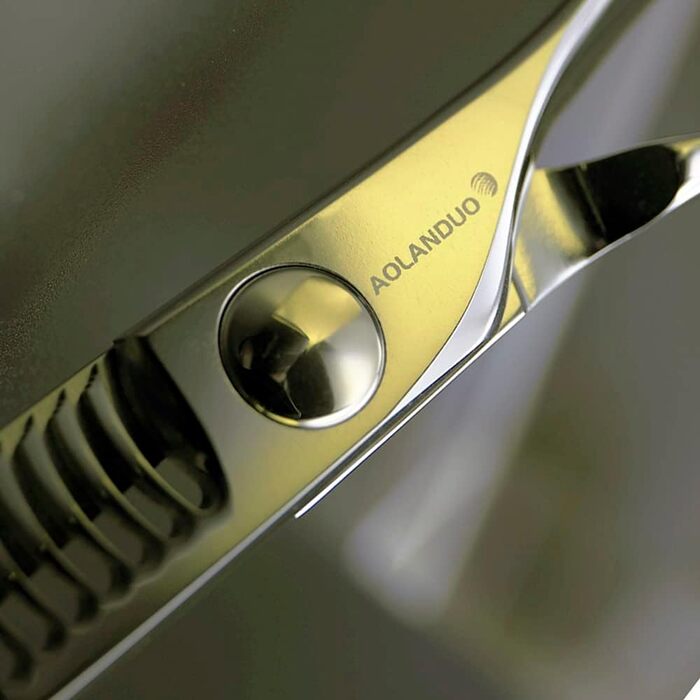 Професійні перукарські ножиці AOLANDUO VG10 - для перукарів та барберів, сталь, 6.0 дюймів