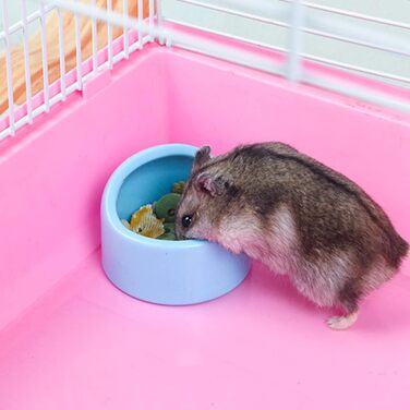 Набори мисок для тварин Yuemuop (3 шт.) з кераміки, антивандальні, для хом'яків, рептилій, черепах та інших домашніх тварин. Миски для їжі та води.