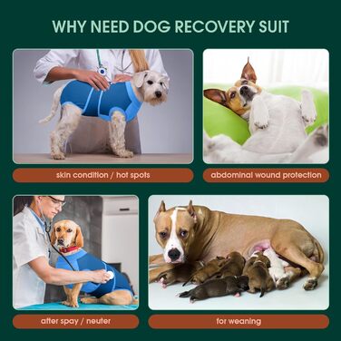 Захисний одяг для собак після операції Kuoser M – Дихаючий захисний костюм для сук та песиків, альтернатива електронному нашийнику, блакитний (34-41см;49-59см)