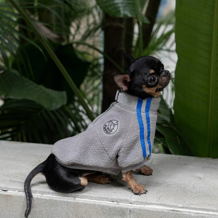 Тепла флісова куртка для собак маленьких порід, модель XS, сірий колір