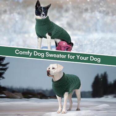 Светр для собак Queenore: в'язаний водолазка для джек-расселів, коргі, бульдогів (XS, зелений)