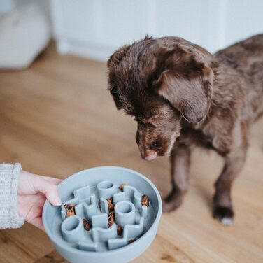Повільний годівник для собак District 70 Bamboo - блакитний, діаметр 28 см