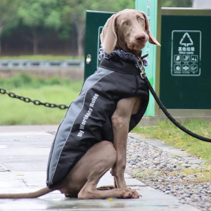 Зимова куртка для собак з шлейкою, водонепроникна, чорна (4XL)