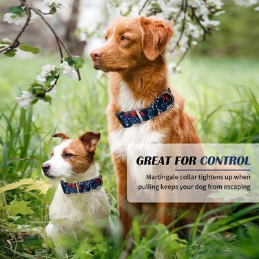 Нашийник для собак Hikiko Martingale, класичний, міцний, надійний, для малих, середніх та великих собак, розмір L (Plum Blossom, Medium)