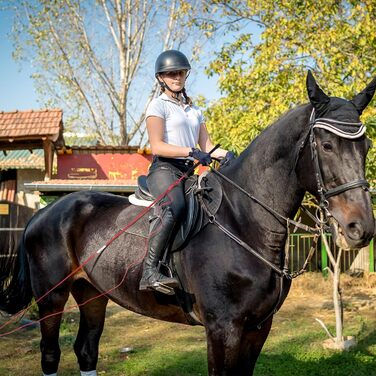 Навчальний бамбуковий жезл для собак та коней, 1,5 м та 1,8 м, роздільний (червоний)