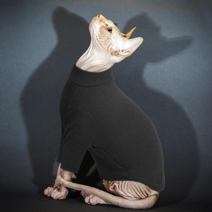 Одяг для безшерстних котів Sphynx: м'який пуловер з ролетним коміром, футболка, жилет. Чорний колір, розмір XL