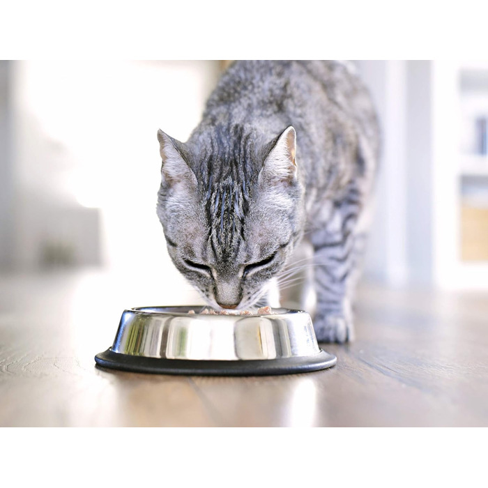 Набори мисок для котів VORX з нержавіючої сталі з антиковзким гумовим дном, 15 см, 3 шт.