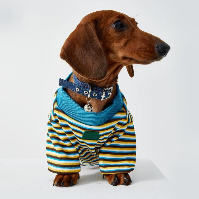 Теплий теплий дощовик-куртка для дрібних та середніх собак, дощовик-пуловер, тонкий фліс, одяг для собак, костюм для мініатюрного такса, (Синій, S)