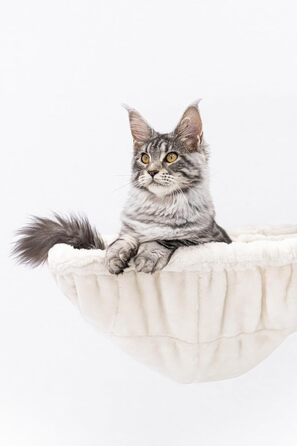 Котячий дряпак Petrebels XXL Turnpike 190 см, товсті стовпи Ø15 см, стійкий, для великих котів, 76x76x190 см, бежевий/кремовий