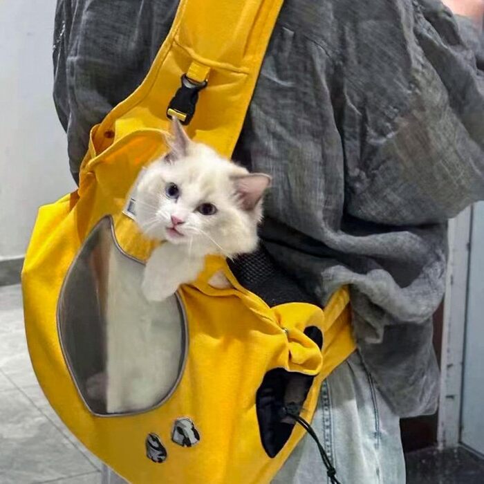 Транспортна сумка для собак та котів, переноска для тварин, зелено-жовта, 35.8 x 40.9 x 16.69 см