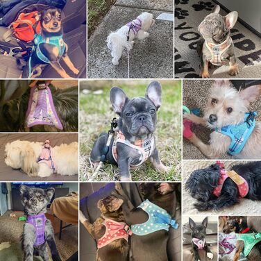 Нашийник та поводок для собак та котів BeautyzOO, м'яка сітка, світловідбиваючий, для маленьких та середніх цуценят, в клітинку, XS/S, (41-46см обхват грудей), рожевий, з квітковим принтом