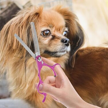 Професійні ножиці для грумінгу собак та котів BESPORTBLE - ножиці з нержавіючої сталі для догляду за домашніми тваринами