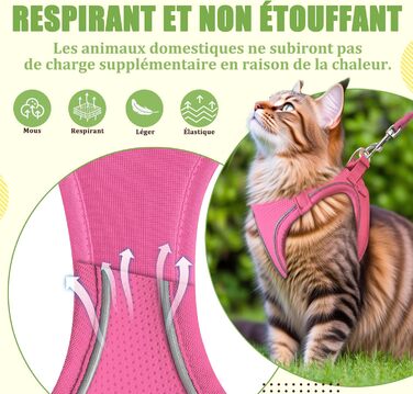 Нашийник для котів Qianruida з повідком, регульований, зручний, дихаючий, світловідбиваючий (Рожевий, XXS)