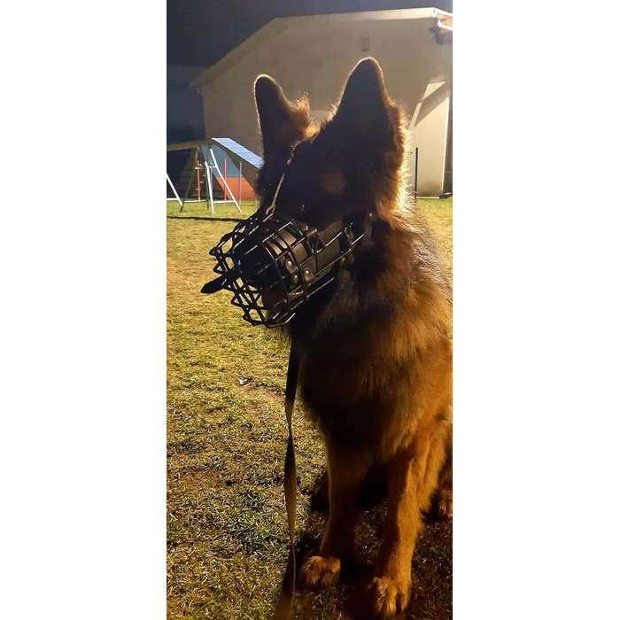 Металевий намордник із гумовим покриттям Dingo Gear для німецької вівчарки, професійний, універсальний, зручний, для довгих прогулянок