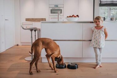 Миска для собак та котів HUNTER KIMBERLEY з нержавіючої сталі, 700 мл, чорна