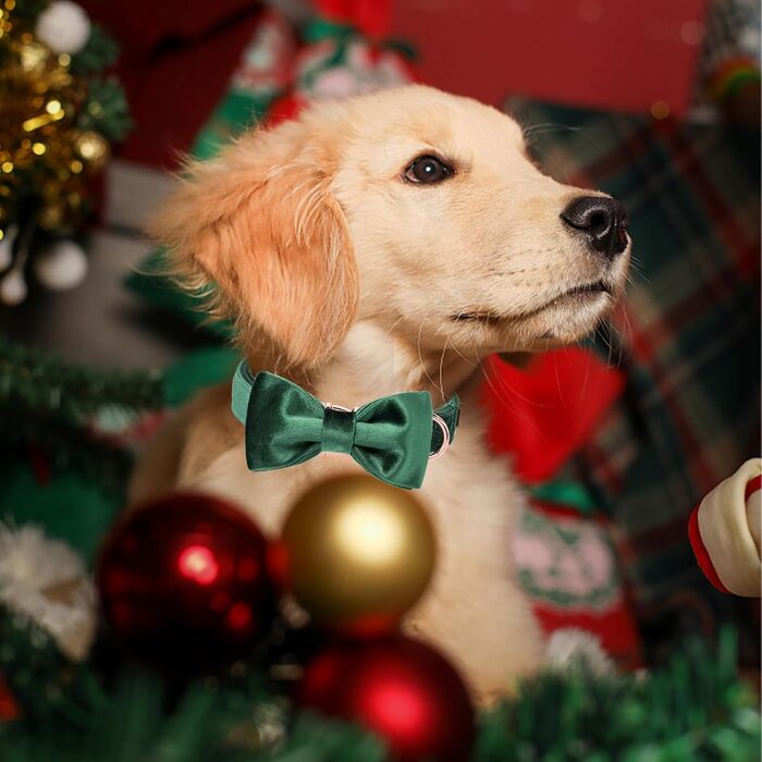 Елегантний ошийник для собак Aring з бантиком, м'який велюровий ошийник, регульований, темно-зелений, для дівчаток та хлопчиків