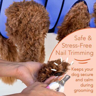 ГамІнВей Гамак для догляду за тваринами - блакитний для великих собак, гамак-сумка для тварин, обтискний ремінь для догляду за кігтями та вухами/догляду за очима (блакитний)