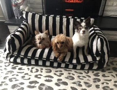 Розкішний диван для собак та котів – комфортне лежак-ліжко для домашніх тварин