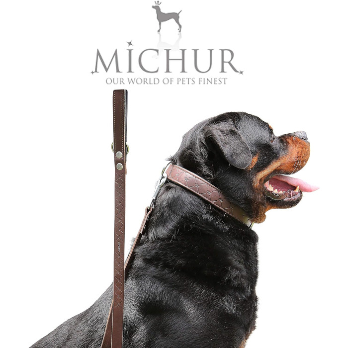 Шкіряний нашийник для собак MICHUR Design, коричневий, різні розміри