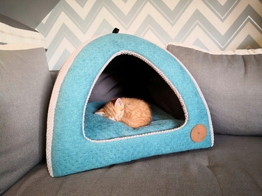 Будиночок для собак та котів LAUREN design BELLA VELVET