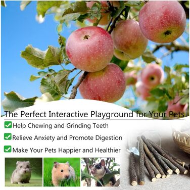 Іграшки для хом'яків, морських свинок та кроликів: аксесуари та розваги для гри