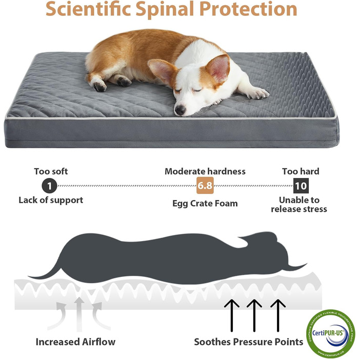 Ортопедичне ліжко для собак середнього розміру WNPETHOME, велике водонепроникне ліжко для собак з знімним, пральним чохлом та антиковзною основою, багатониткове стежне шиття, ліжко для домашніх тварин XL