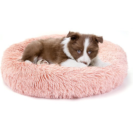 колір: блакитний