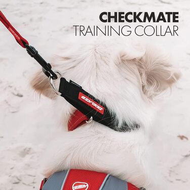 Нашийник для собак EzyDog Checkmate - нашийник-стоппер для собак, навчальний нашийник для дресирування. Підходить для великих, середніх та малих собак (S, чорний)