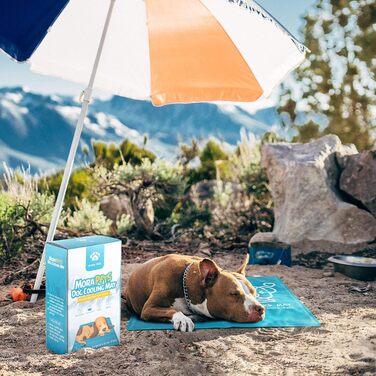 Кühlmatte для собак Pawtasy: охолоджуючий килимок для собак великих та середніх порід, 100 x 60 см, блакитний