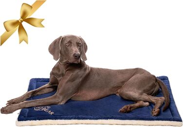 Килимок для собак Vivi Bear 110 x 70 см, килимок для тварин, машинного прання, для собак та котів, блакитний