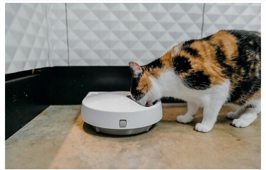 Автоматична годівниця для котів Cat Mate, пластик, 0 мл