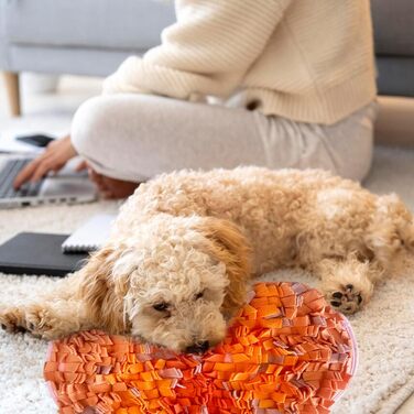 Schnüffelmatte для собак: інтерактивна килимок для повільного годування, тренування та розваг. Машинне прання.