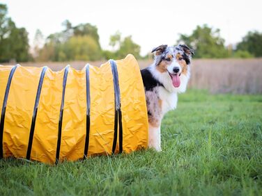 Тунель для собак Vabiono Agility Profi Sack - ігровий тунель для аджиліті, 60x300 см