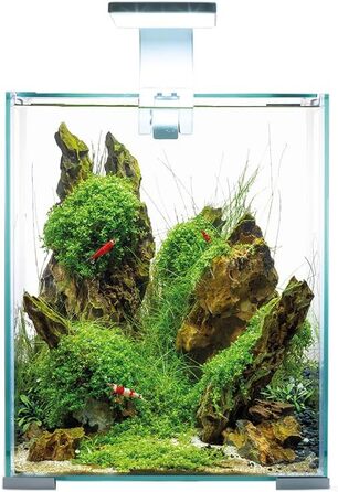 Акваріум Aquael Shrimp Set Day&Night 20 білий, 19 л, комплект для креветок, 4.63 кг