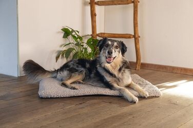 Ортопедичне ліжко для собак Beeztees Ito, сірого кольору, 78x55x4 см