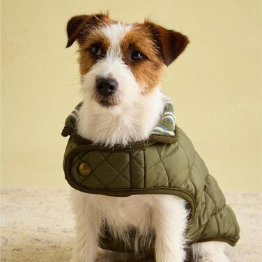 Зимова куртка для собак Rosewood x Joules, хакі, легка та тепла, стьобана, для малих порід, машинне прання