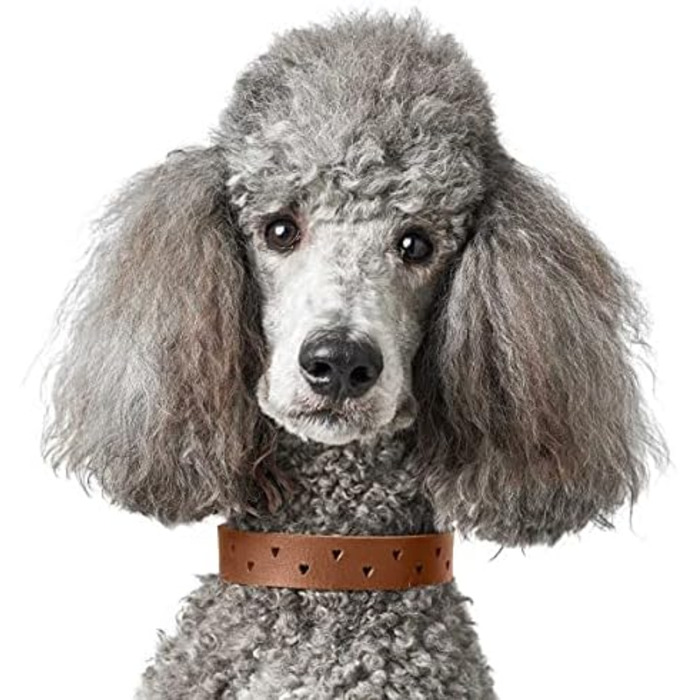 Нашийник для собак HUNTER Aalborg Soul, колір коньячний з сердечком, міцний, розмір 45