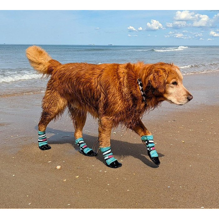 Чоботи для собак Bark Brite Allwetter Neopren, великий розмір, блакитний (з відбиваючими елементами)