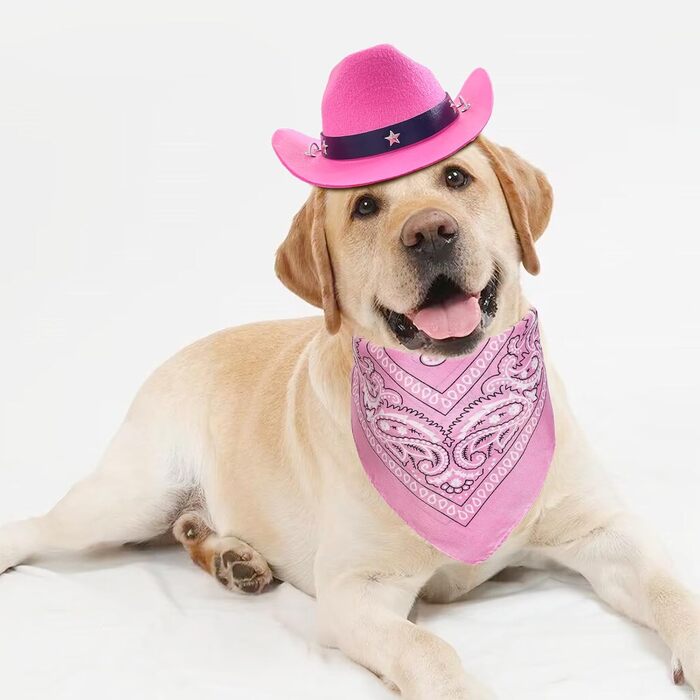 Ковбойський костюм для тварин: капелюх та бандана, рожевий. Аксесуари для собак та котів, ідеально для свят та повсякденного використання
