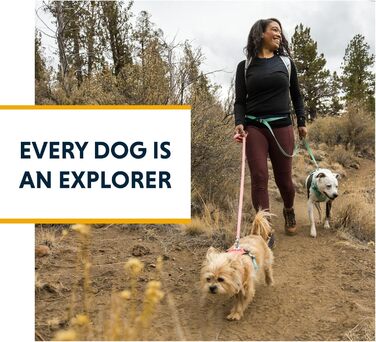Повідок для собак Ruffwear Flagline 2-в-1, легкий і міцний, для бігу, на руку чи талію, із сумкою для зберігання та Crux-Clip, зелений, універсальний розмір