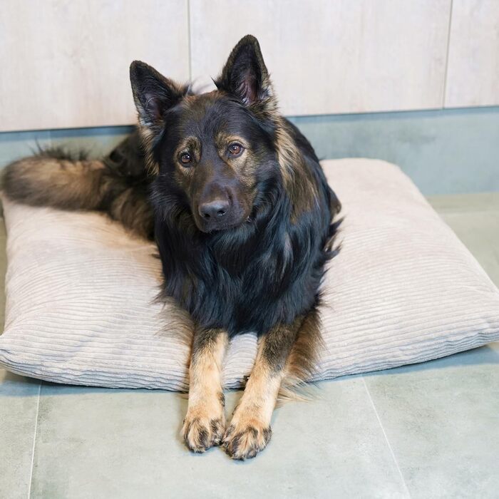 Килимок для собак 4L Textil ZOE: м'який, зручний, з блискавкою, для великих собак, з можливістю прання (графіт, смужки)