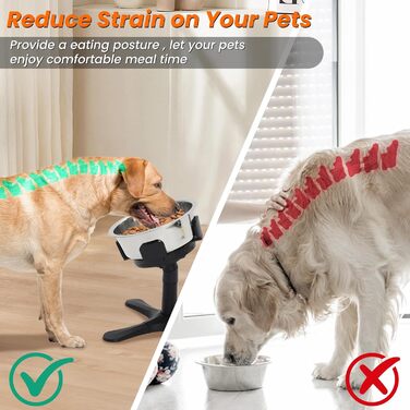 Підвищена годівниця для собак на регульованому підставці, 3 рівня та кут нахилу, сумісна з різними мисками, годівниця для собак із нержавіючої сталі для середніх та великих собак