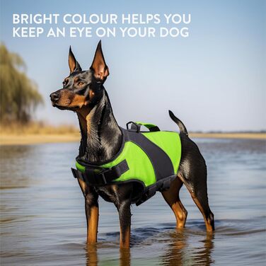 Жилет для собак, зелений, розмір M, колір лаймовий